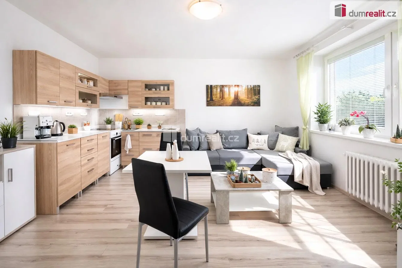 Wohnzimmer; küchengeräte, tageslicht, moderner stil, blick