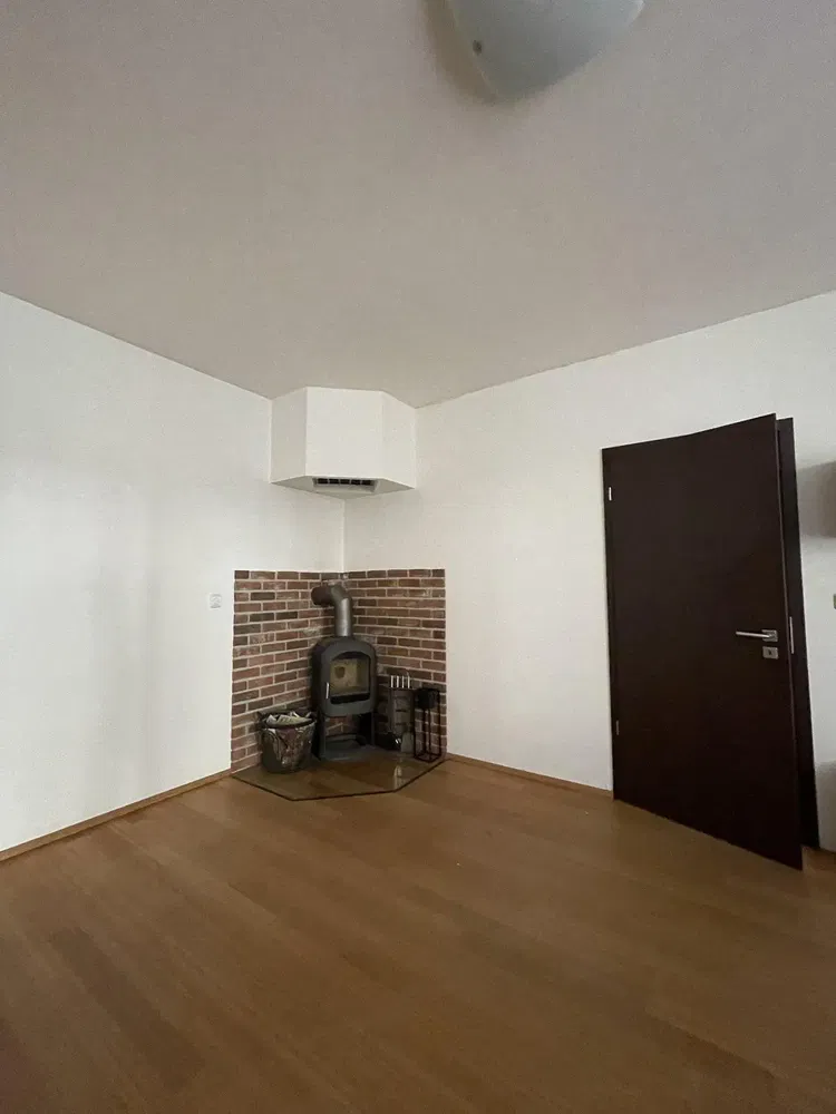 Wohnzimmer; kamin, holzboden, tageslicht