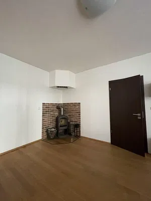 Wohnzimmer; kamin, holzboden, tageslicht