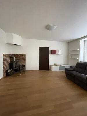 Wohnzimmer; kamin, tageslicht