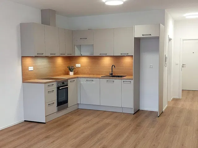 Küche; küchengeräte, renoviert, tageslicht, moderner stil