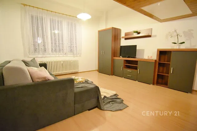 Wohnzimmer; tageslicht, moderner stil
