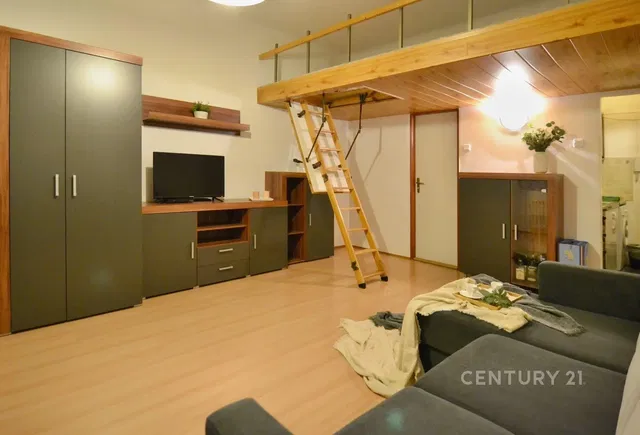 Salon; parquet, lumière naturelle, style moderne
