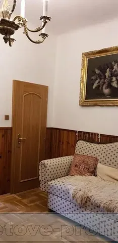 Living room; wood floor, rustic style