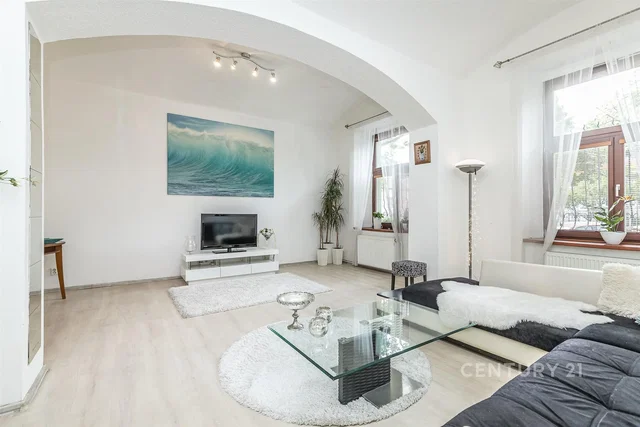 Woonkamer; natuurlijk licht, moderne stijl