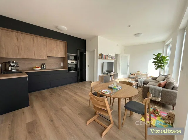 Σαλόνι; συσκευές κουζίνας, φυσικό φως, μοντέρνο στυλ