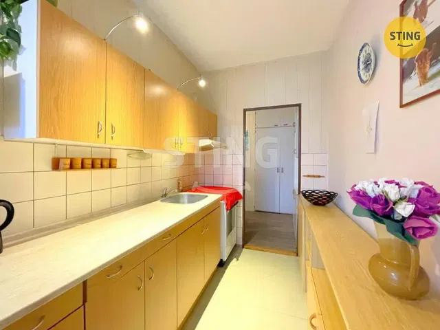 Kuchyně; kuchyňské spotřebiče, dlažba