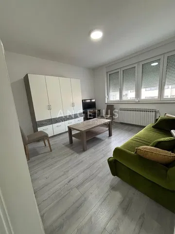 Хол; естествена светлина, модерен стил