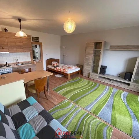 Salon; światło dzienne