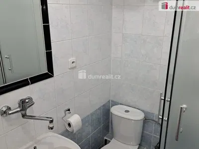 مرحاض; أرضية من البلاط, مجدد, ضوء طبيعي, أسلوب عصري