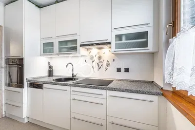 Kuchyně; kuchyňské spotřebiče