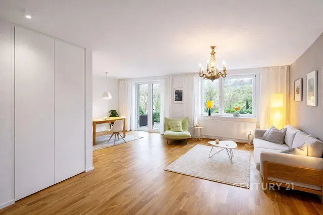 Living room; view, wood floor, natural light, modern style