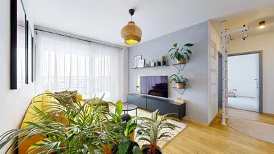 Dnevni boravak; prirodna svjetlost, moderan stil