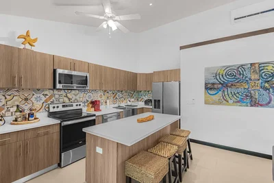 Kuhinja; kuhinjski aparati, prirodno svjetlo, moderni stil