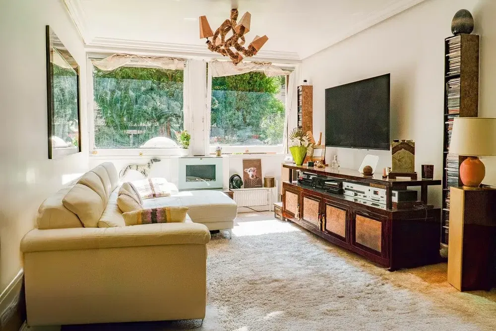 Salón; vista, luz natural, estilo moderno