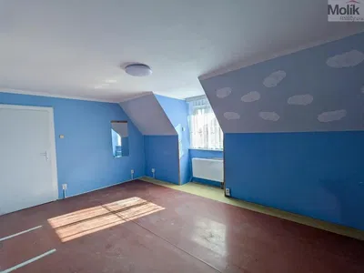 Ostatní