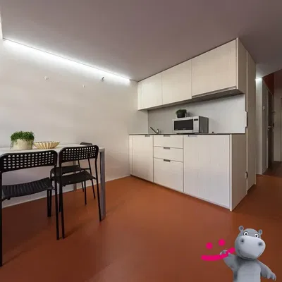 Küche; küchengeräte, moderner stil, tageslicht