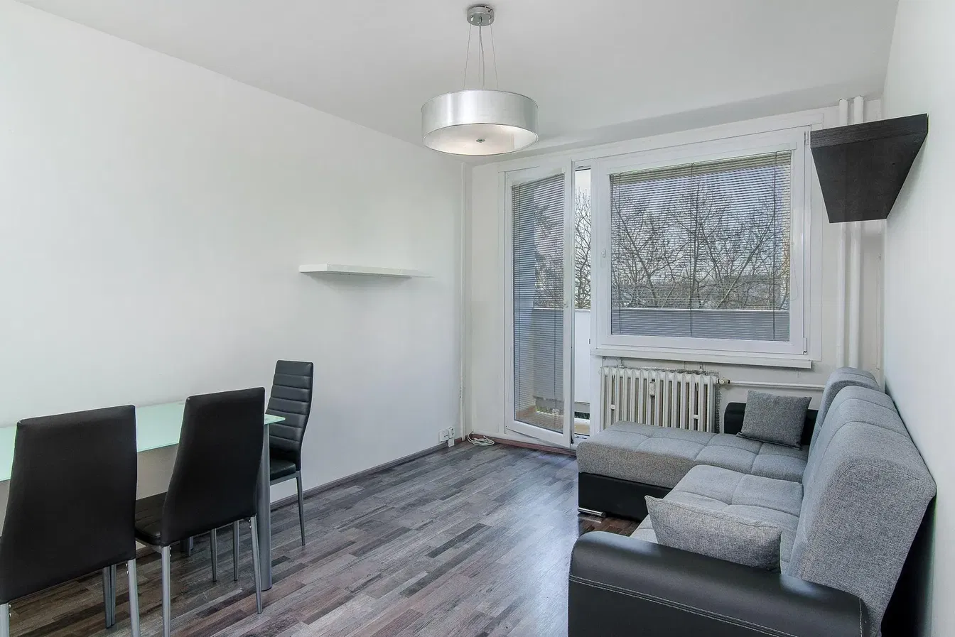 Дневна соба; природно светло, модерни стил