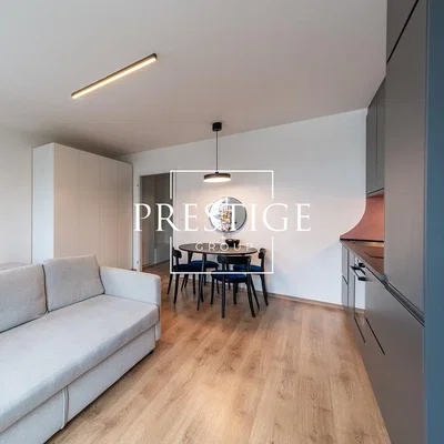 Хол; модерен стил, дървен под, естествена светлина