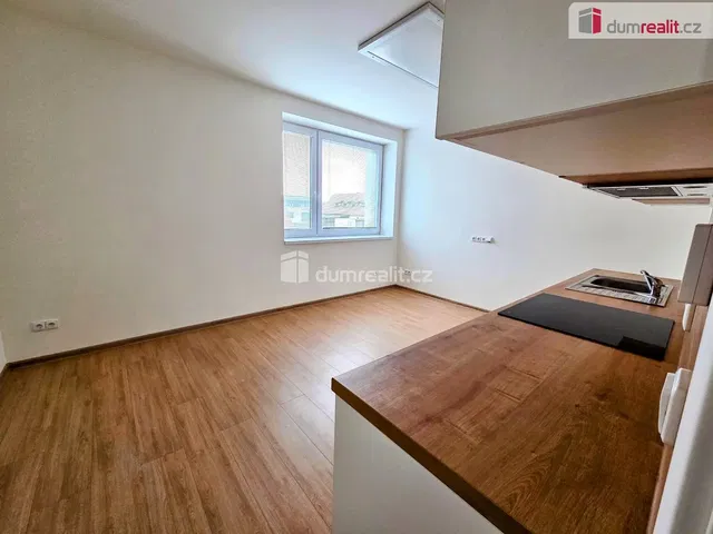 Kitchen; view, wood floor, natural light, renovated