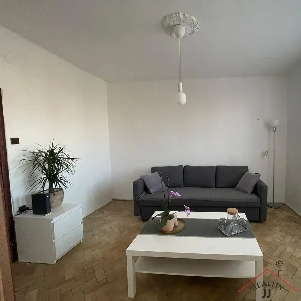 Living room; natural light, modern style