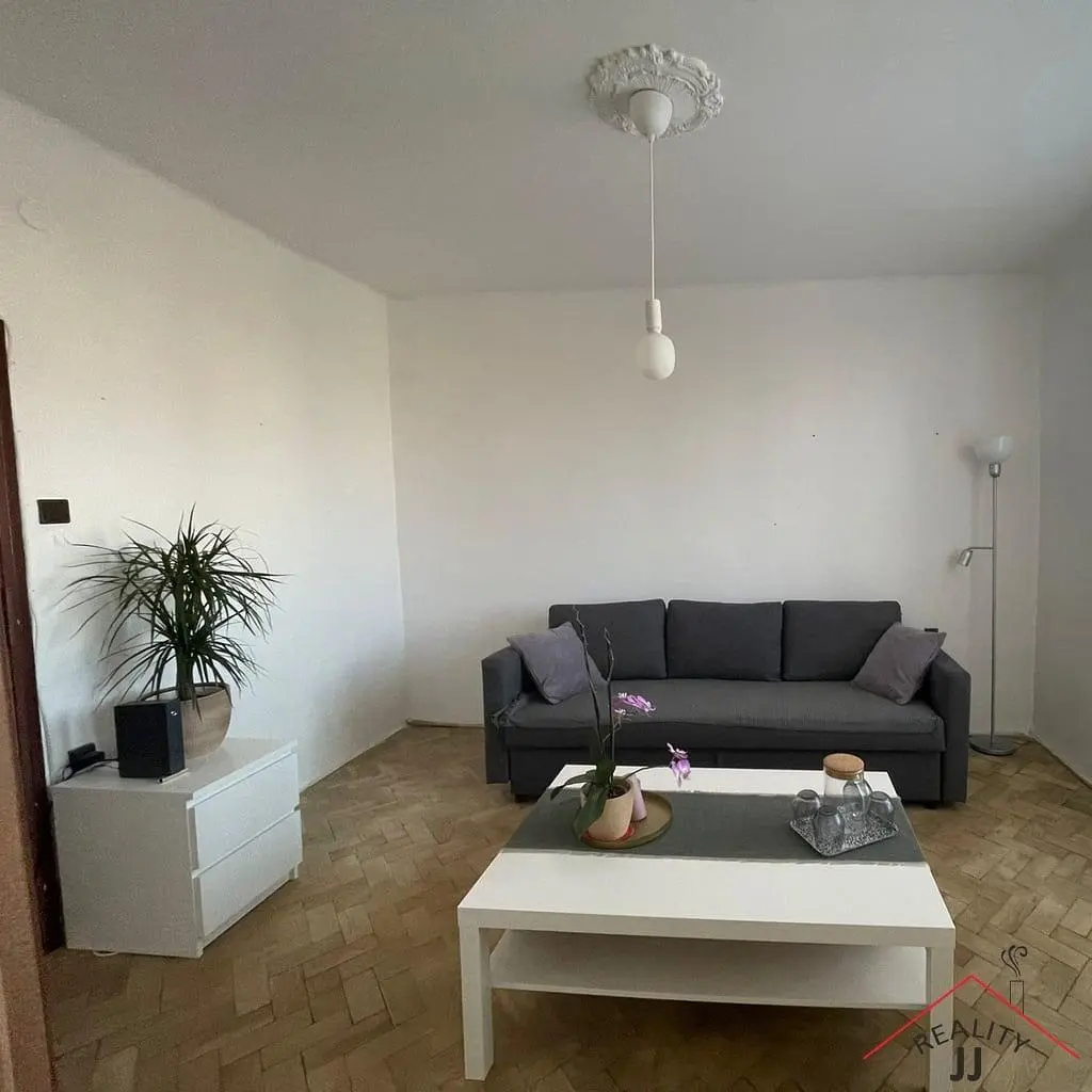 Living room; natural light, modern style