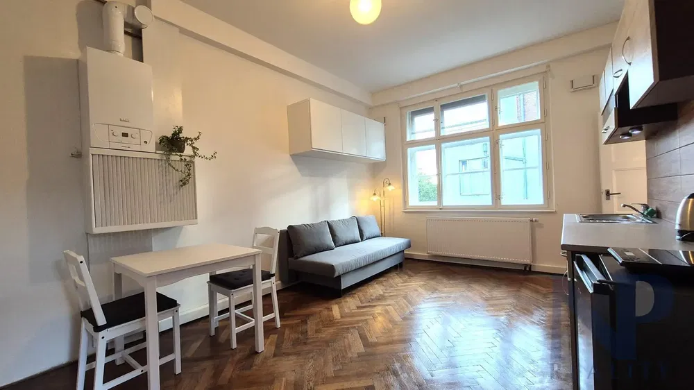 غرفة معيشة; أرضية خشبية, ضوء طبيعي