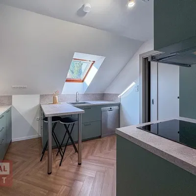 Kuchnia; sprzęt kuchenny, światło dzienne, styl nowoczesny