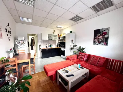 Хол; модерен стил, естествена светлина