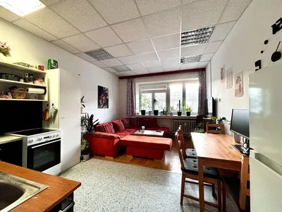 Хол; кухненски уреди, естествена светлина