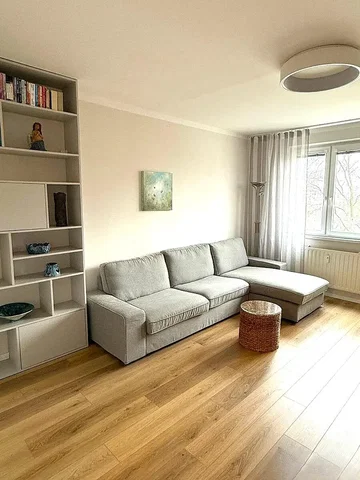 Living room; wood floor, natural light, modern style