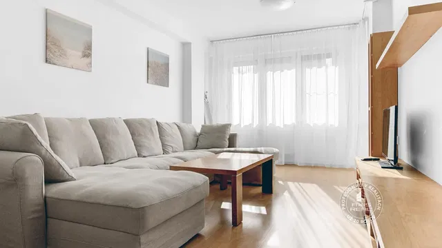 Living room; natural light, wood floor, modern style
