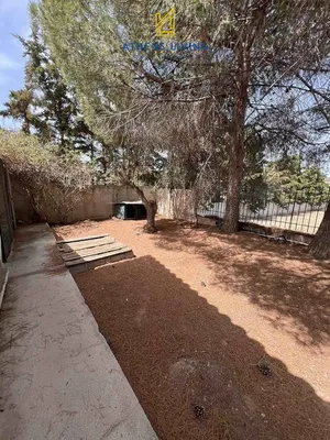 Σπίτι και περιβάλλον; φυσικό φως