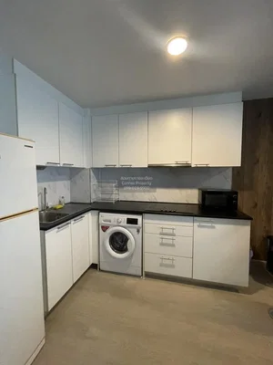 Cuisine; électroménager, rénové, lumière naturelle, style moderne