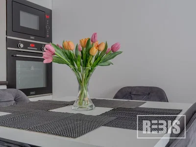 Küche; küchengeräte, moderner stil