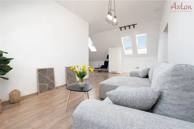 Dnevna soba; prirodno svjetlo, moderni stil