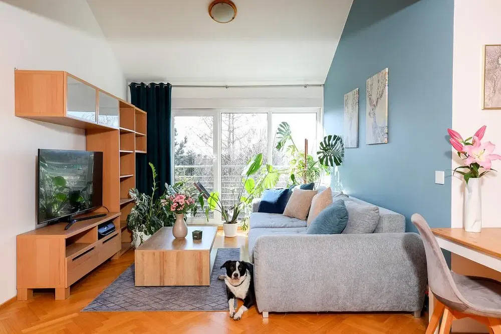 Dnevna soba; prirodno svjetlo, moderni stil