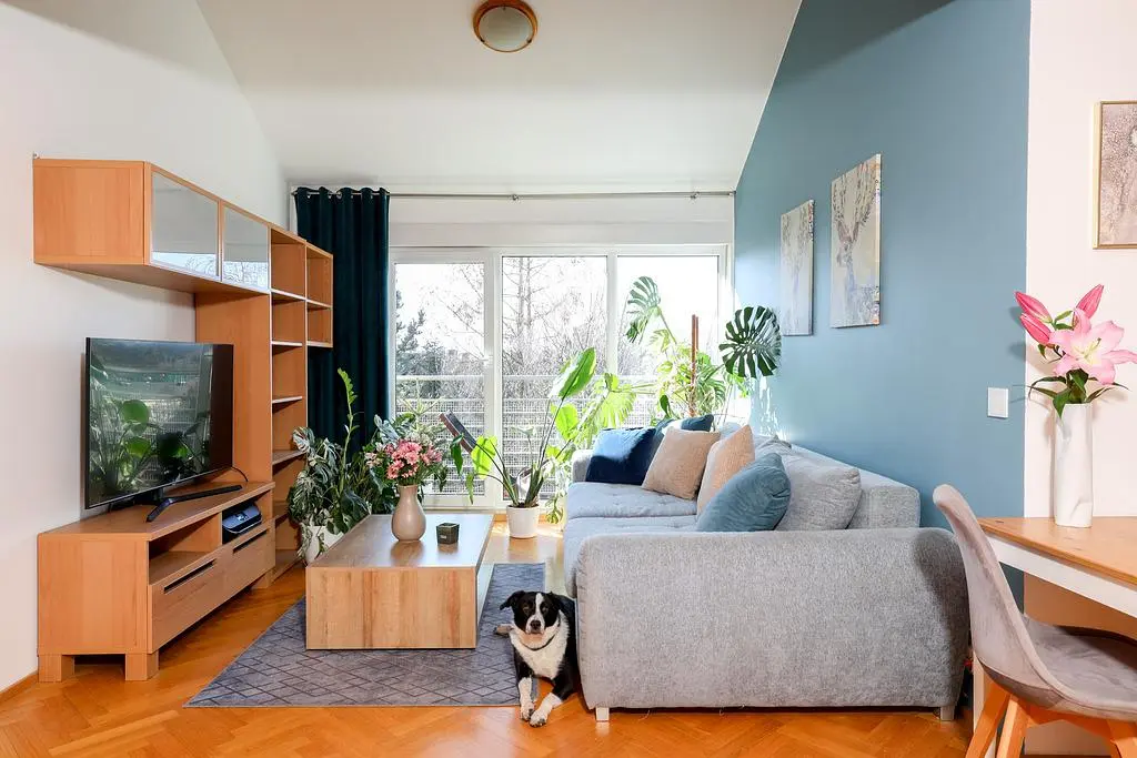 Dnevna soba; prirodno svjetlo, moderni stil