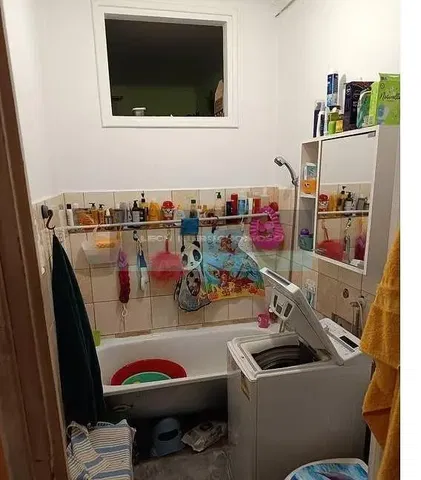 Koupelna; dlažba, přirozené světlo, nutná rekonstrukce