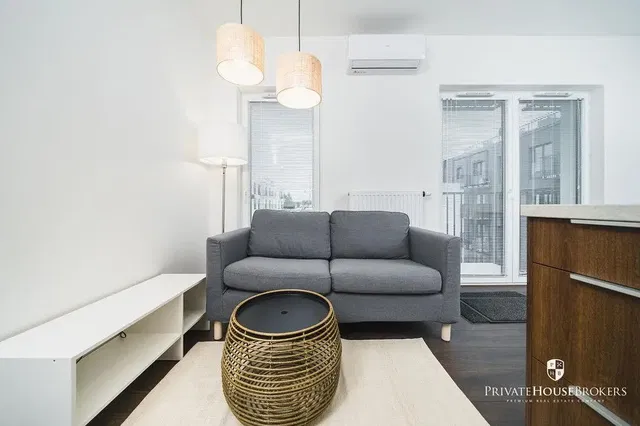 Living room; natural light, modern style