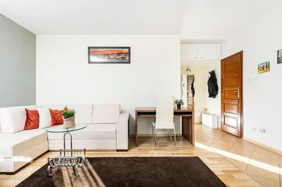 غرفة معيشة; ضوء طبيعي, أسلوب عصري