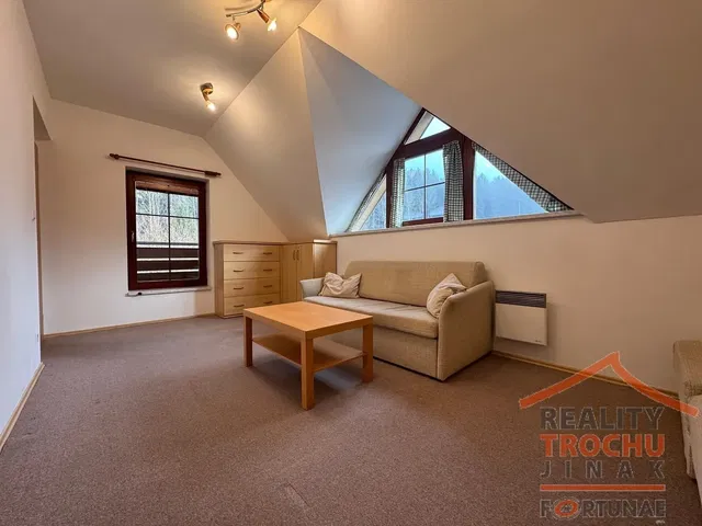 Salón; luz natural, estilo moderno