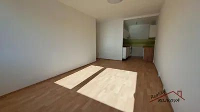 Хол; естествена светлина, дървен под