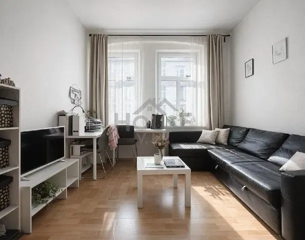 Salón; luz natural, estilo moderno