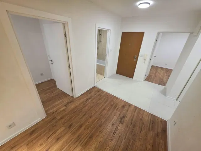 Other; wood floor, tile floor, natural light