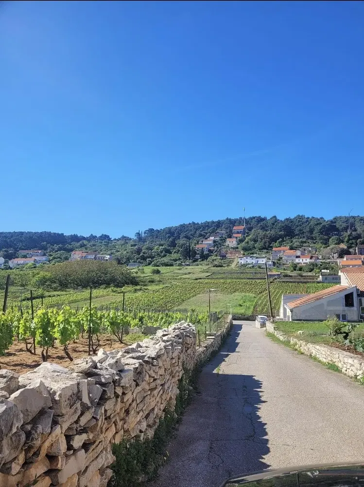 Kuća i okolina; pogled