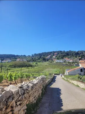 Kuća i okolina; pogled