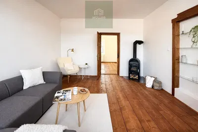 Living room; fireplace, wood floor, natural light, modern style