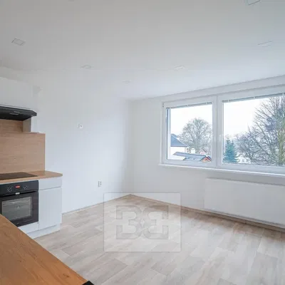 Cucina; elettrodomestici, vista, pavimento in legno, luce naturale, ristrutturato