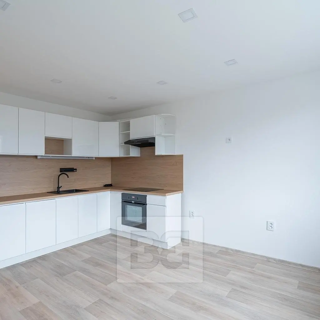 Cucina; elettrodomestici, ristrutturato, luce naturale, stile moderno